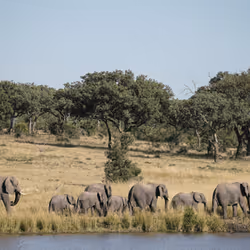 2381976568446569244243622252022377480210