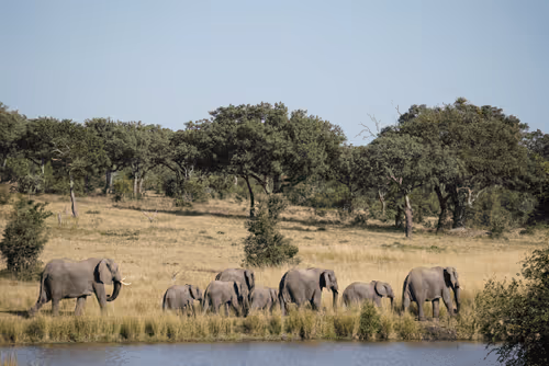 Item #2381976568446569244243622252022377480210 Media