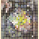 DOTS: An Interplay of Palettes and Setting