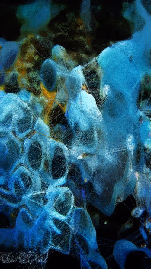 Item #71000071 Media