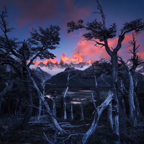 This is Patagonia