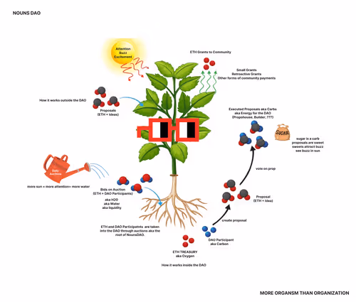 Nouns as Plants.