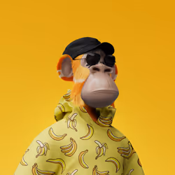 4555
