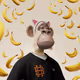 6259