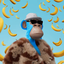 6658