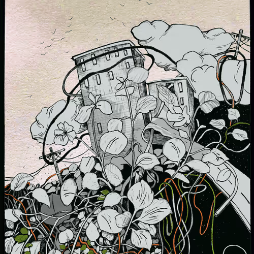 Imagination - fGLcoFSdbH