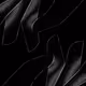 Mind In Motion V2