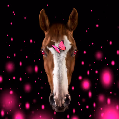 Amazing horses V2