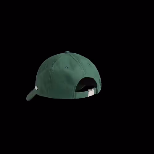 Item #350 Media