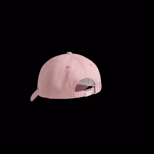 Item #500 Media