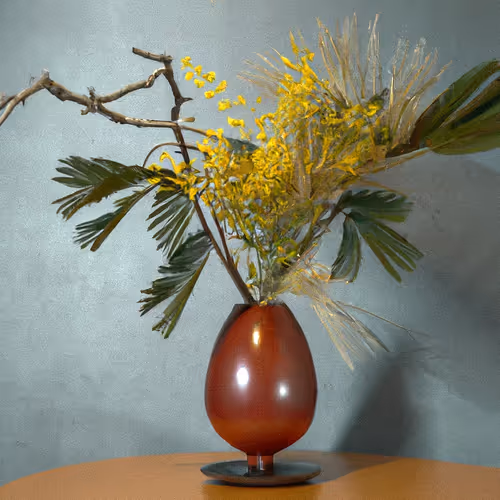 Mimosa