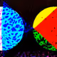 70