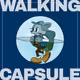 27