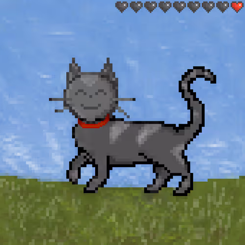 Feral Cats