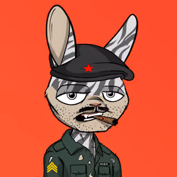 Mad Rabbit #0848