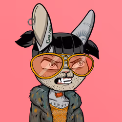 Mad Rabbit #2494