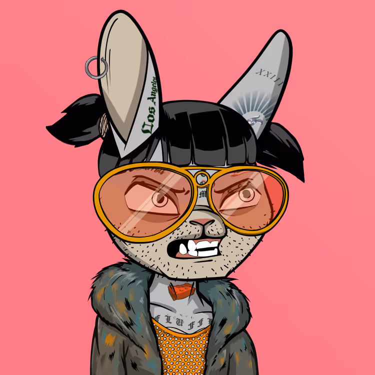 Mad Rabbit #2494