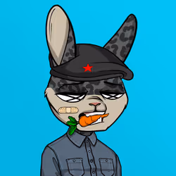 Mad Rabbit #3834