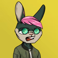 Mad Rabbit #6537
