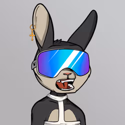 Mad Rabbit #1217