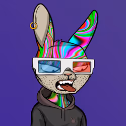 Mad Rabbit #6512