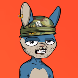 Mad Rabbit #2581