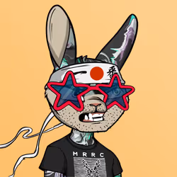 Mad Rabbit #1877