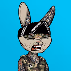 Mad Rabbit #0336