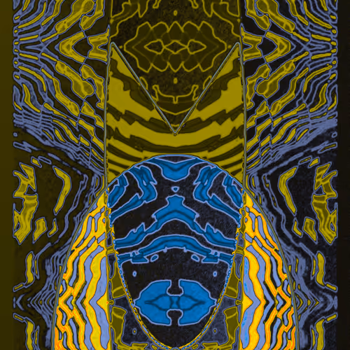 embodied geometry