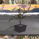 ^plots__/wallpapers