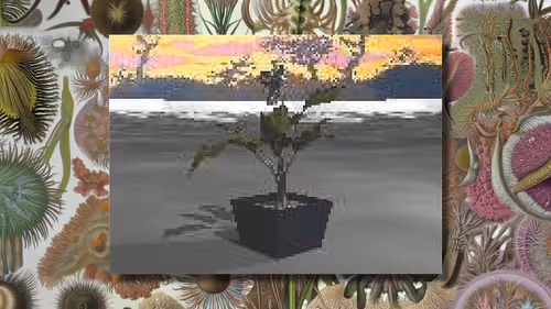 Item #6 Media