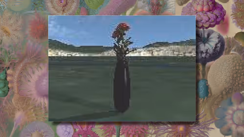 Item #5 Media