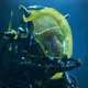 491