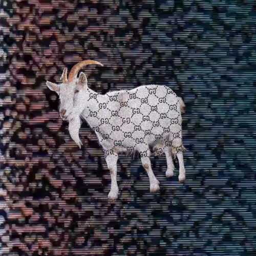 Item #59800010004 Media