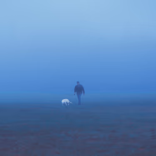 Foggy Blues