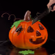 Pumpkake