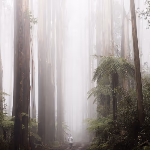 Low Cloud V2