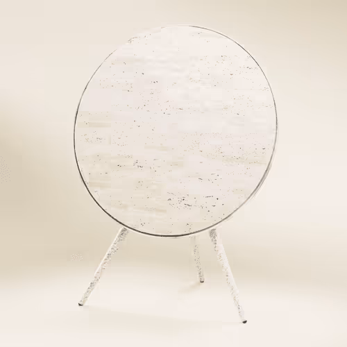 Item #560 Media