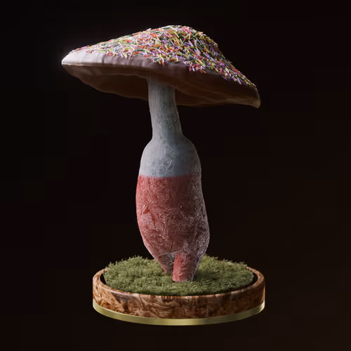 Item #73 Media