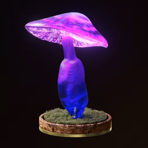 Item #81 Media