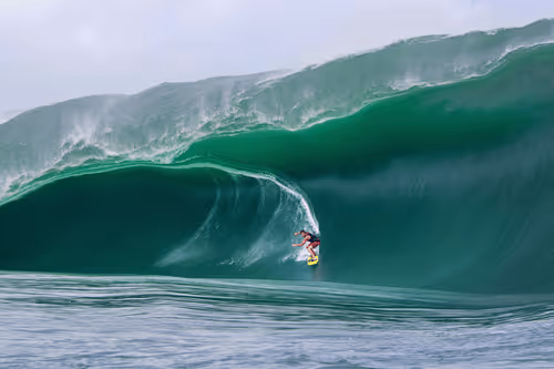 Item #283067314901845391395601803230798351431111802100 Media