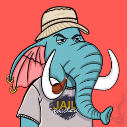 Untamed Elephant #1421