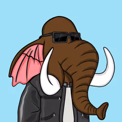 Untamed Elephant #3687
