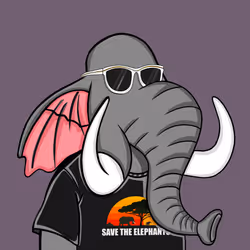 Untamed Elephant #4999