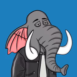 Untamed Elephant #6481