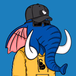 Untamed Elephant #7020