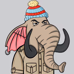 Untamed Elephant #1543