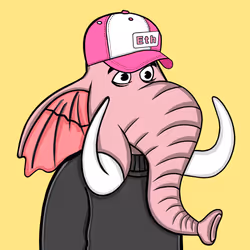 Untamed Elephant #3442