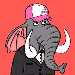 Untamed Elephant #3237