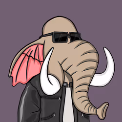 Untamed Elephant #5078